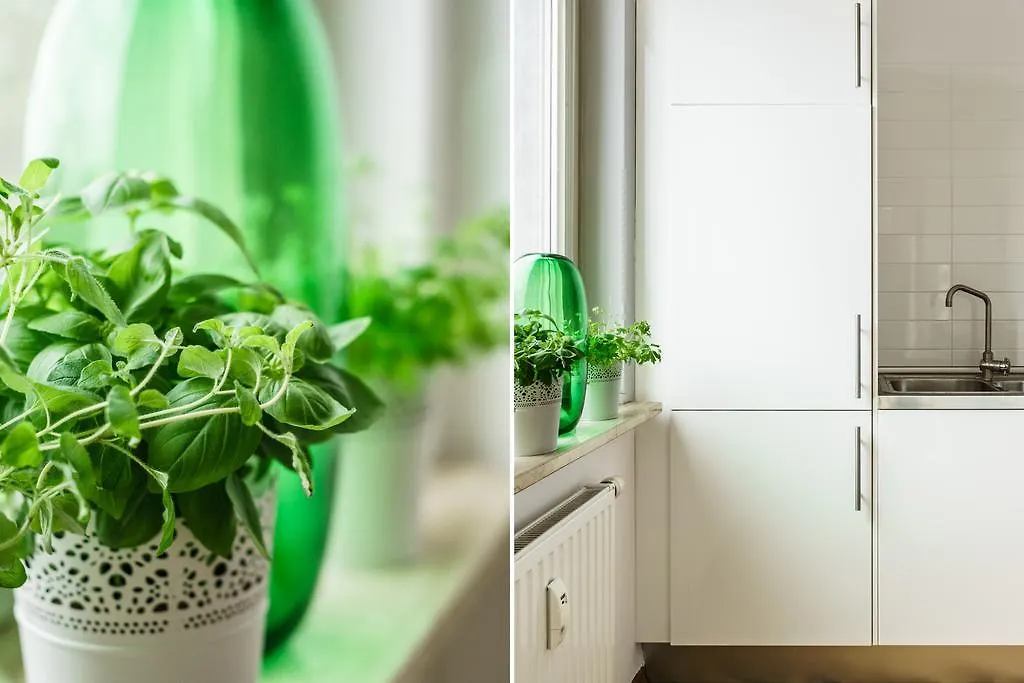 Apartment Home Away From Home In Gdansk